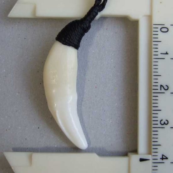 【表示現品】狼牙編み込みネックレス＜黒コード　中サイズ＞ - WTN-15063