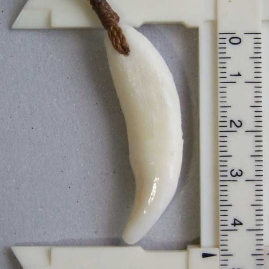 【表示現品】狼牙編み込みネックレス＜カーキコード中サイズ＞ - WTN-15071