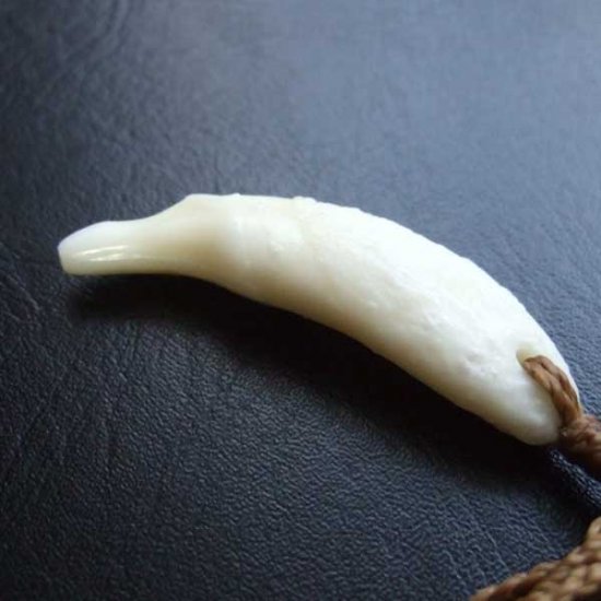 【表示現品】狼牙編み込みネックレス＜カーキコード中サイズ＞ - WTN-15071