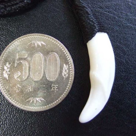 【表示現品】狼牙編み込みネックレス＜黒色コード　中サイズ＞ - WTN-15078