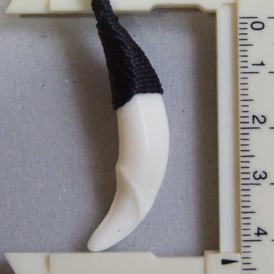 【表示現品】狼牙編み込みネックレス＜黒色コード　中サイズ＞ - WTN-15078