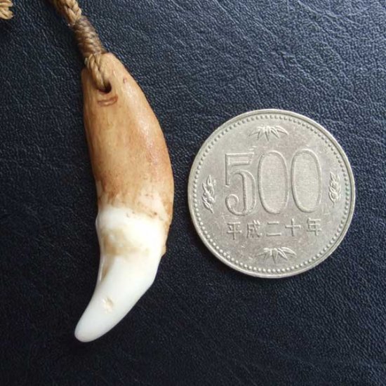 【訳あり現品】狼牙編み込みネックレス＜カーキコード　中サイズ＞ - WTN-15092