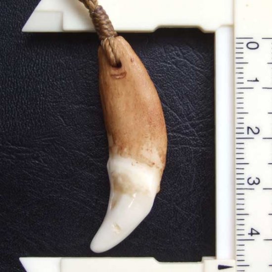 【訳あり現品】狼牙編み込みネックレス＜カーキコード　中サイズ＞ - WTN-15092