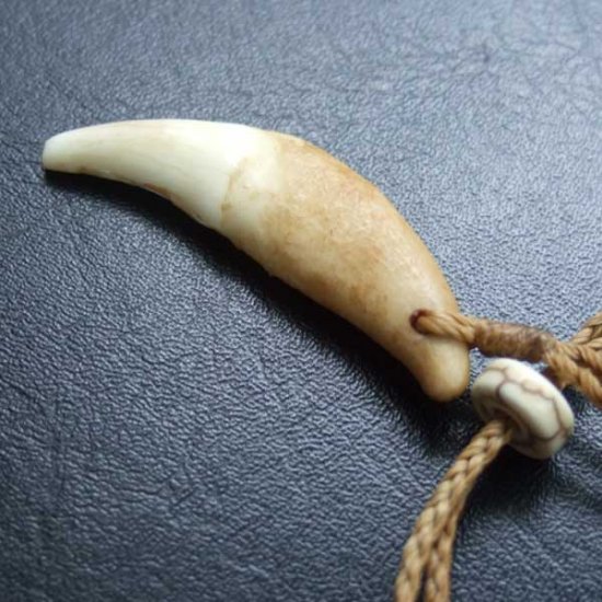 【訳あり現品】狼牙編み込みネックレス＜カーキコード　中サイズ＞ - WTN-15095