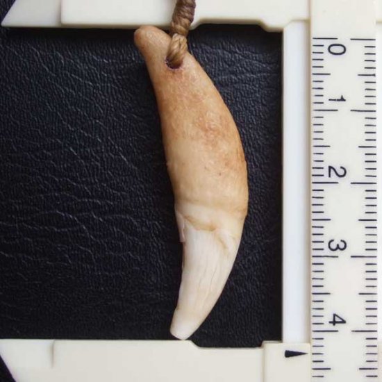 【訳あり現品】狼牙編み込みネックレス＜カーキコード　中サイズ＞ - WTN-15095