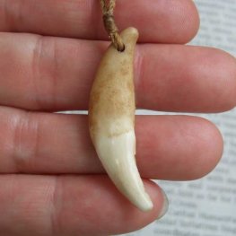 【訳あり現品】狼牙編み込みネックレス<カーキコード 中サイズ> - WTN-15095 【訳あり現品】狼牙編み込みネックレス<カーキコード 中サイズ> - WTN-15095